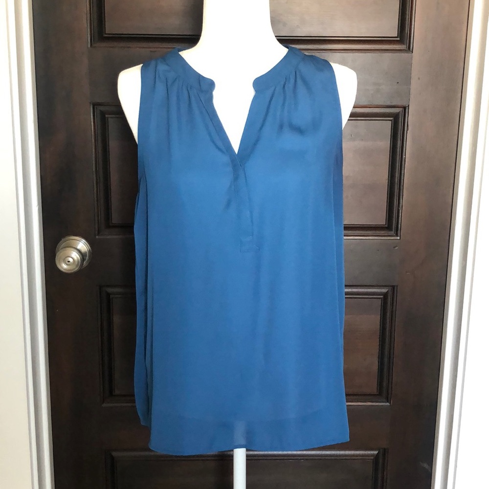 Alice Blue Sheer sleeveless top. Very flattering
